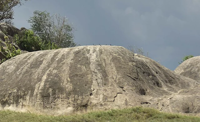Detail of the rounded granite surfaces of a Serengeti kopje